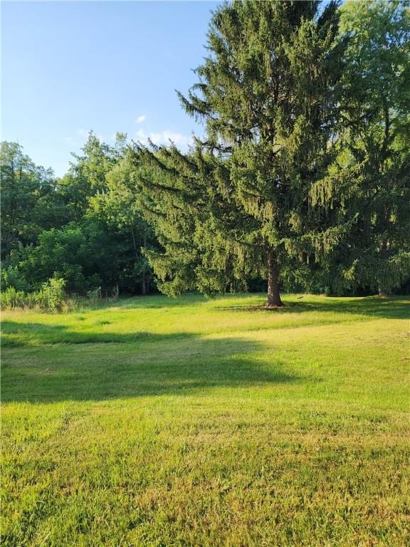917 Mapletown Rd, Pa, PA 15338 - photo 20
