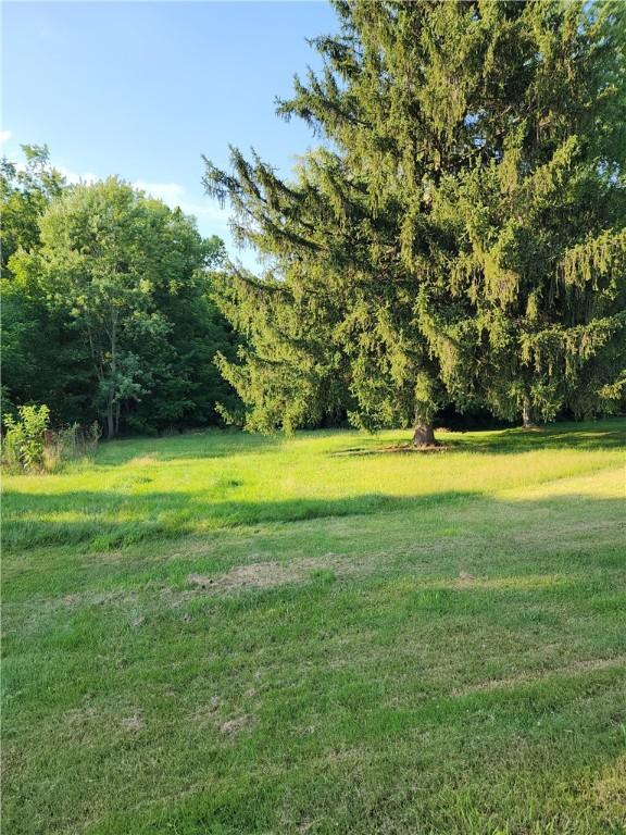 917 Mapletown Rd, Pa, PA 15338 - photo 21