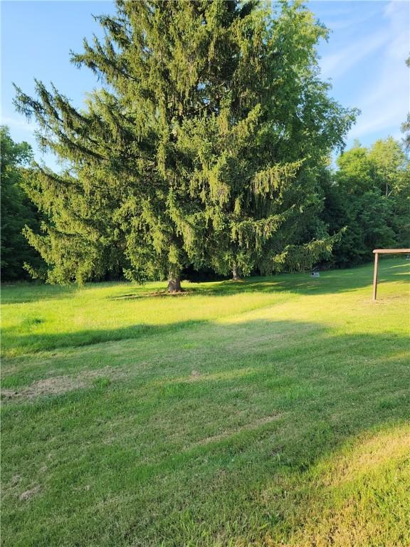 917 Mapletown Rd, Pa, PA 15338 - photo 22