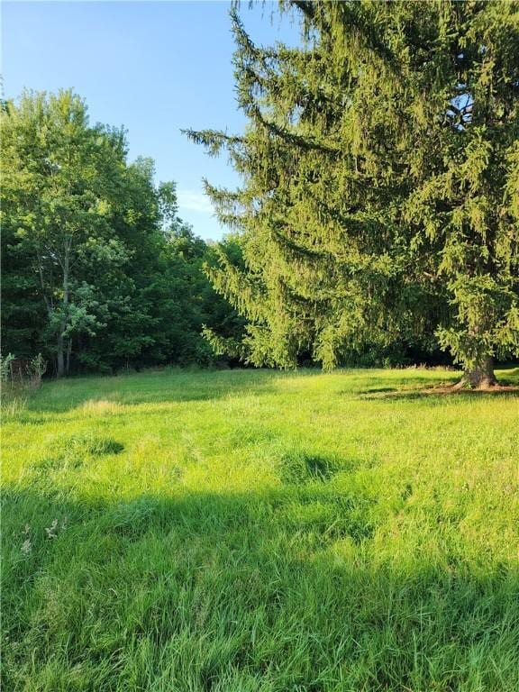 917 Mapletown Rd, Pa, PA 15338 - photo 24