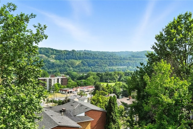 1206 Carla Dr, Blawnox, PA 15238 - mountain view featuring a heavily wooded area