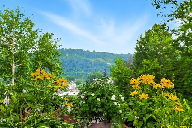 1206 Carla Dr, Blawnox, PA 15238 - mountain view