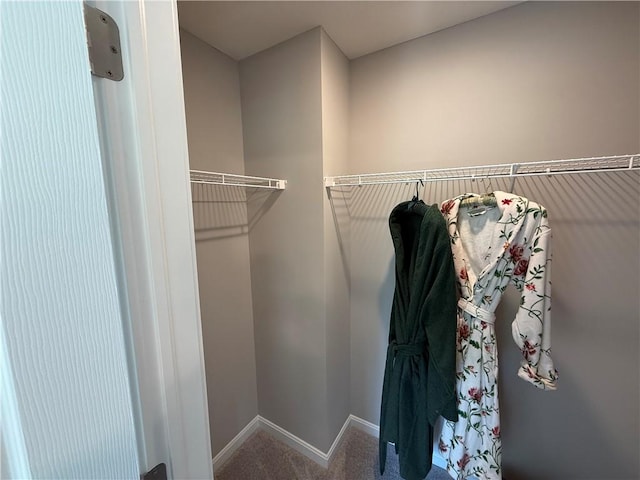 173 Lockheed Dr, Moon/Crescent Twp, PA 15108 - walk in closet with carpet floors