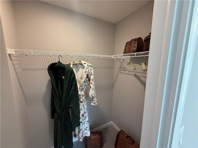173 Lockheed Dr, Moon/Crescent Twp, PA 15108 - walk in closet featuring carpet flooring