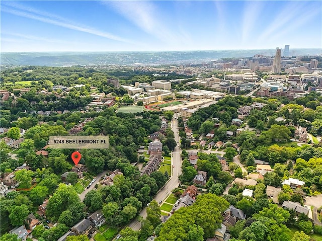 5248 Beelermont Pl, Squirrel Hill, PA 15217 - view of urban area featuring a tree filled landscape