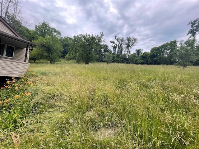262 Twin Bridges Rd, Charleroi Boro, PA 15022 - view of yard