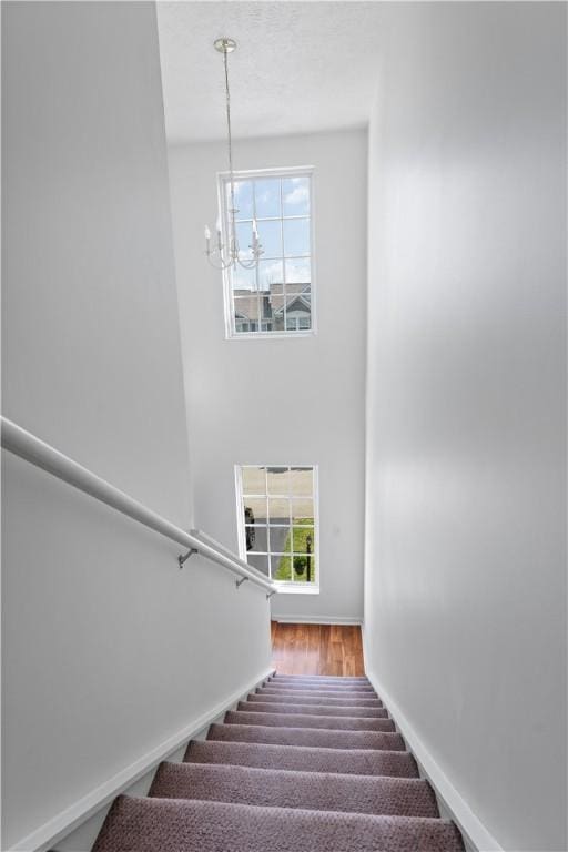 119 Cinque Terra Pl, Finleyville, PA 15332 - photo 20
