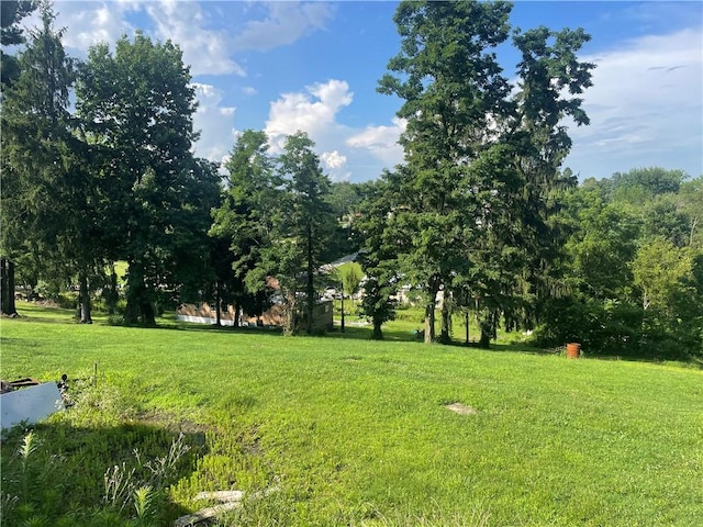 33 Orchard Ln, Carroll Twp, PA 15063 - view of green lawn