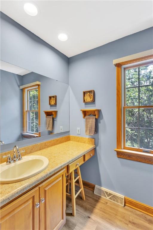 115 Barrett Dr, Brighton Twp, PA 15009 - bathroom featuring plenty of natural light, wood finished floors, and vanity