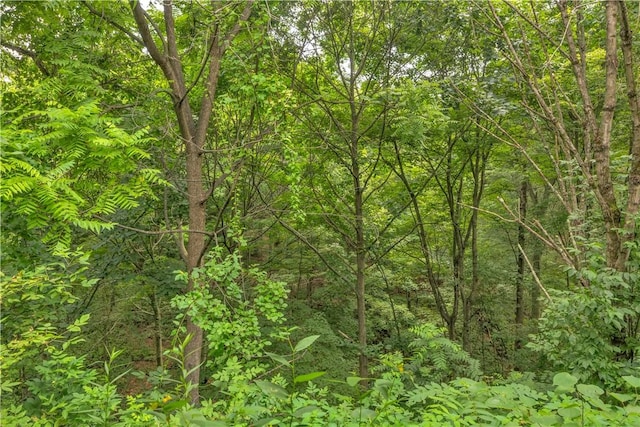 115 Barrett Dr, Brighton Twp, PA 15009 - view of woods