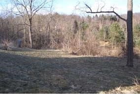 1939 Harrison Ave, Penn Twp, PA 15644 - view of yard with a view of trees