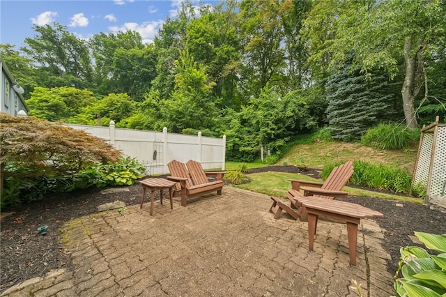 437 Shady Ridge Dr, Monroeville, PA 15146 - view of patio