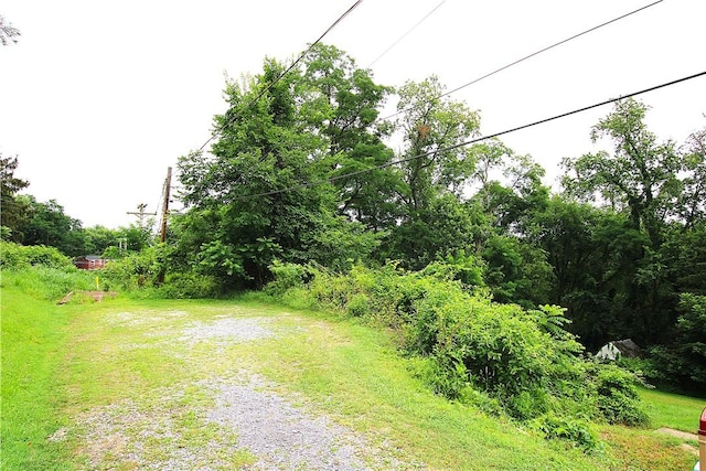 216 Duffy Dr, Moon/Crescent Twp, PA 15108 - view of street