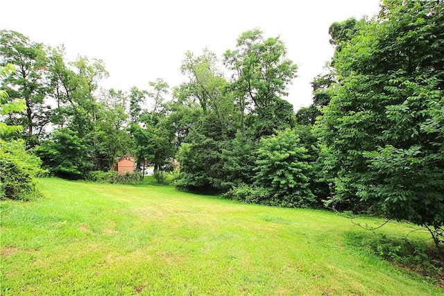 216 Duffy Dr, Moon/Crescent Twp, PA 15108 - view of green lawn