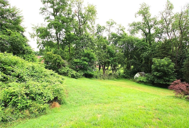 216 Duffy Dr, Moon/Crescent Twp, PA 15108 - view of green lawn