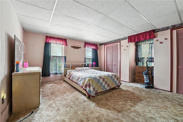 339 E Market St, Mercer Boro, PA 16137 - bedroom with a drop ceiling, carpet, and two closets