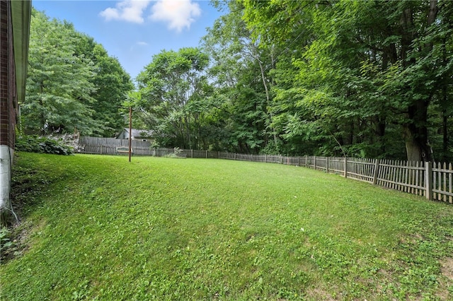 231 E N St, Mercer Boro, PA 16137 - view of fenced backyard