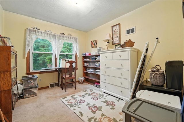 231 E N St, Mercer Boro, PA 16137 - carpeted office space featuring a textured ceiling