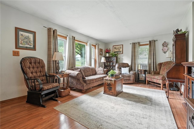 231 E N St, Mercer Boro, PA 16137 - living room featuring light wood-type flooring