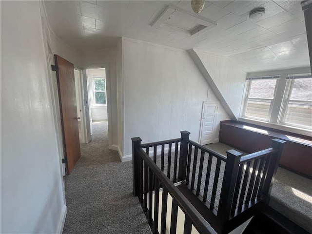 721 Center Ave, City Of But Se, PA 16001 - hallway featuring carpet flooring and an upstairs landing