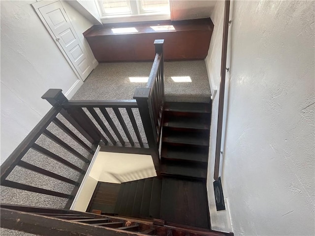 721 Center Ave, City Of But Se, PA 16001 - stairs with carpet