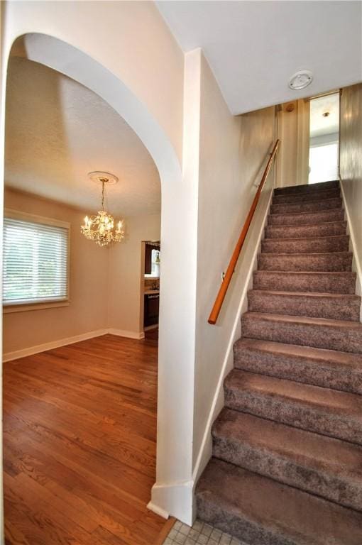 426 Stafford Ave, Collier Twp, PA 15017 - photo 10
