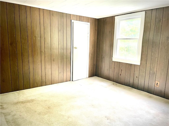 1017 Johnston Ave, Kittanning Boro, PA 16201 - carpeted empty room featuring wooden walls