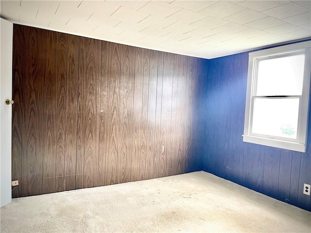 1017 Johnston Ave, Kittanning Boro, PA 16201 - empty room with carpet flooring and wood walls