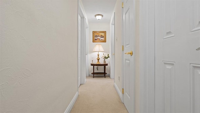 11 Sunnycrest Dr, Cecil, PA 15321 - hallway with light carpet and baseboards