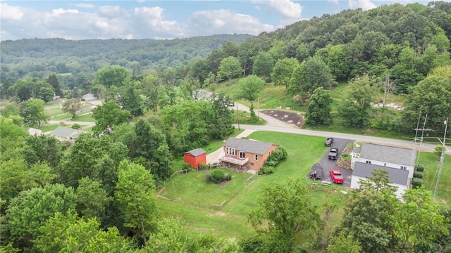 1556 Washington Rd, Washington Twp, PA 15613 - aerial view of a forest