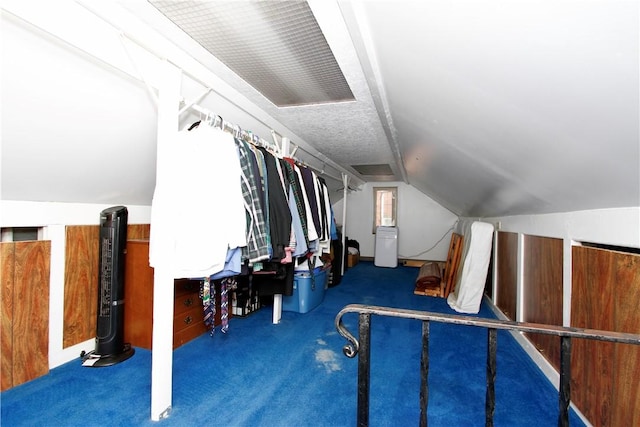 731 Kewanna Ave, Mt Lebanon, PA 15234 - spacious closet featuring carpet flooring and vaulted ceiling