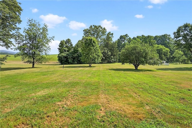 545 Vanderbilt Rd, Dunbar Twp, PA 15425 - view of green lawn