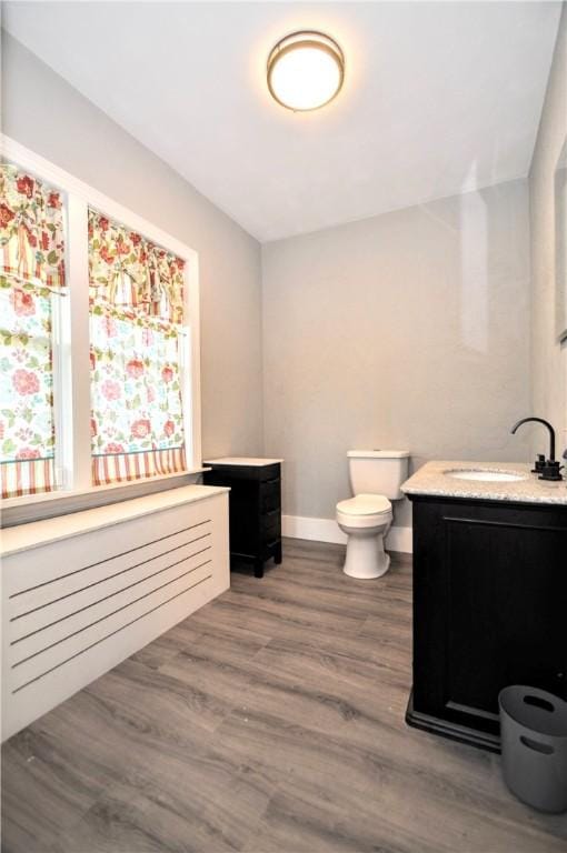 315 Ohio St, Rostraver, PA 15012 - bathroom featuring vanity, wood finished floors, and radiator