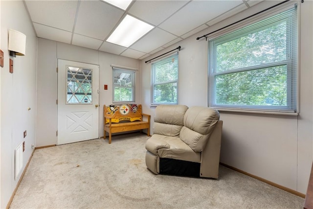 427 Reamer Ave, Carnegie, PA 15106 - photo 12
