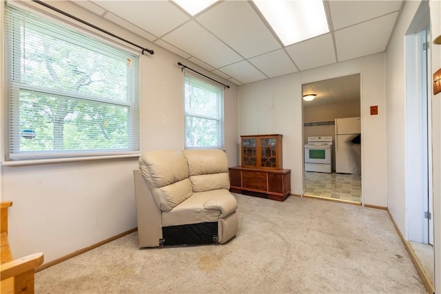 427 Reamer Ave, Carnegie, PA 15106 - photo 13