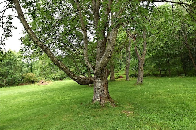 714 Colonial, Washington Twp, PA 15613 - view of grassy yard