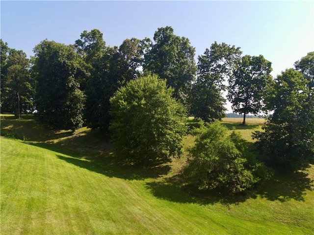 963 Herman Rd, Summit Twp, PA 16002 - view of green lawn