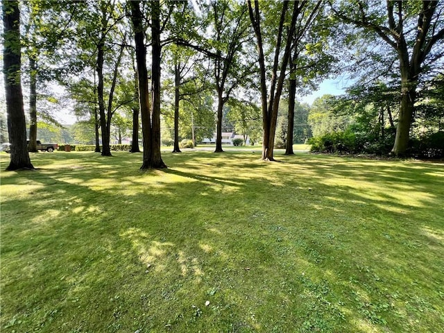 963 Kings Chapel Rd, Neshannock Twp, PA 16105 - photo 7