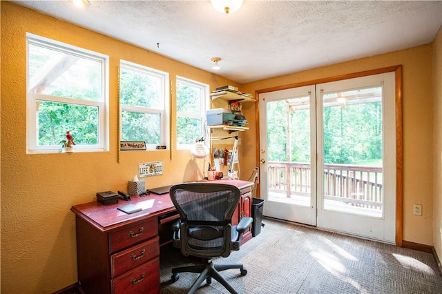 385 Wallace Run Rd, Big Beaver, PA 15010 - carpeted office space featuring a textured ceiling and a textured wall