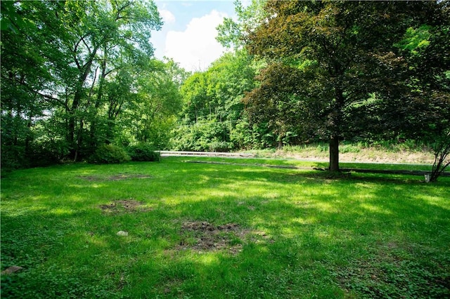 385 Wallace Run Rd, Big Beaver, PA 15010 - view of green lawn with a wooded view