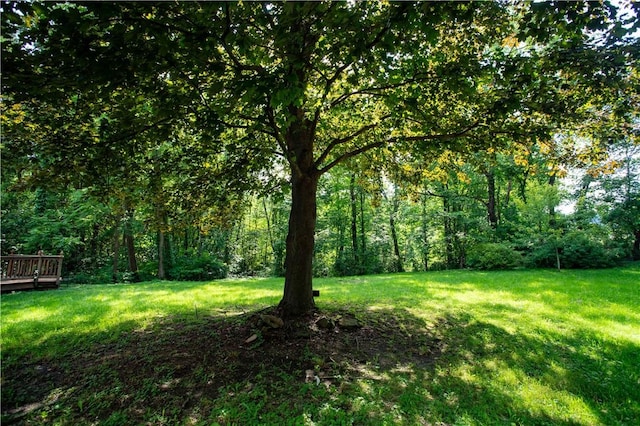 385 Wallace Run Rd, Big Beaver, PA 15010 - view of green lawn with a deck and a view of trees
