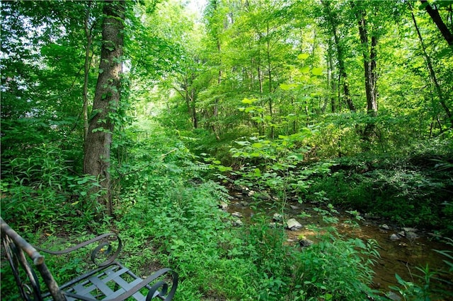 385 Wallace Run Rd, Big Beaver, PA 15010 - view of wooded area