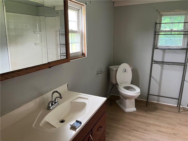 402 N 10th St, Apollo Boro, PA 15613 - bathroom with vanity and wood finished floors