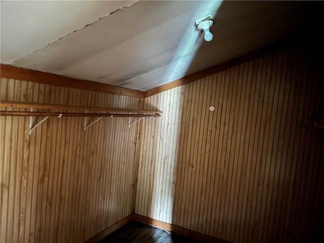 402 N 10th St, Apollo Boro, PA 15613 - spacious closet featuring lofted ceiling and dark wood finished floors