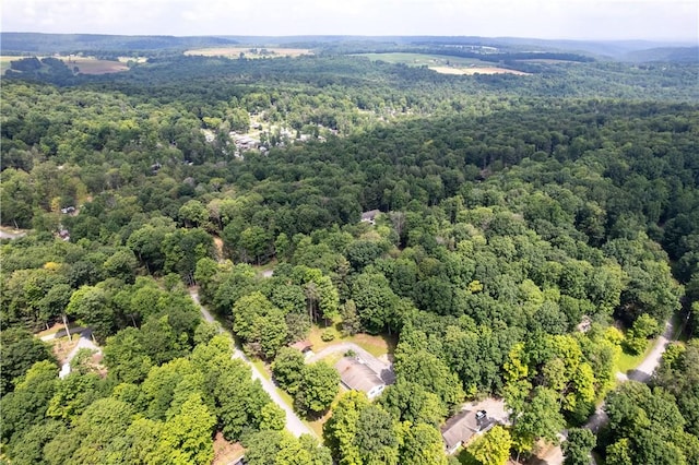 178 Christopher, Christopher, PA 16640 - drone / aerial view of a heavily wooded area