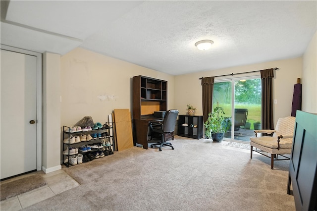 847 Sunset Cir, Cranberry Twp, PA 16066 - office space with a textured ceiling