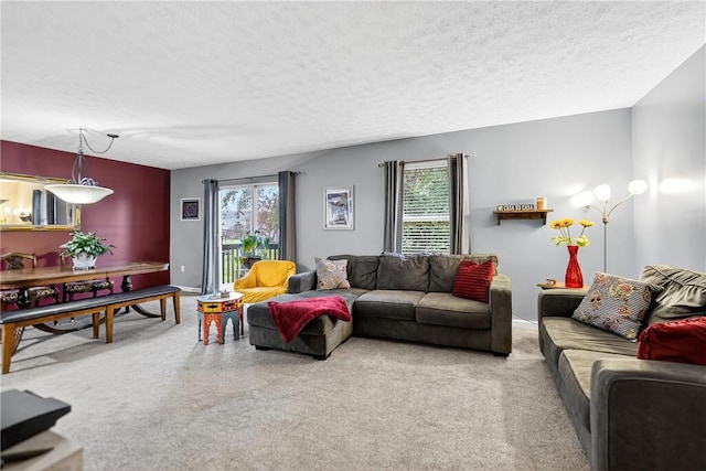 847 Sunset Cir, Cranberry Twp, PA 16066 - carpeted living area with a textured ceiling