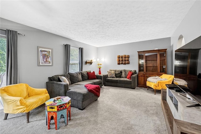 847 Sunset Cir, Cranberry Twp, PA 16066 - carpeted living area with plenty of natural light and a textured ceiling