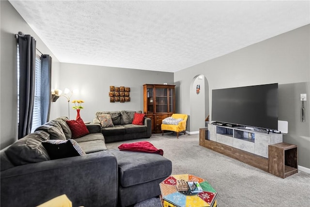 847 Sunset Cir, Cranberry Twp, PA 16066 - living room featuring carpet flooring, arched walkways, and a textured ceiling
