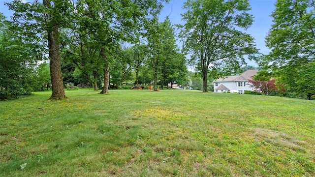 305 Jefferson St, Export, PA 15632 - photo 42